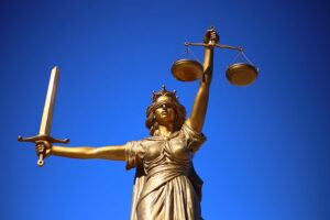 Spécialiste du droit